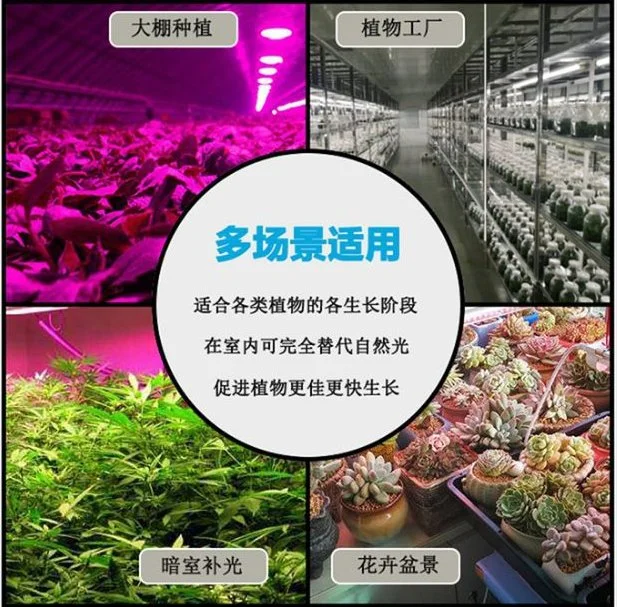 Best Quality Full Spectrum Grow LED Light Professional Design for Indoor Garden