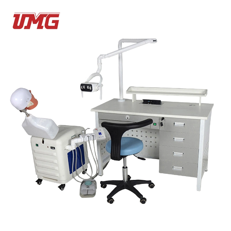 Economic Trachea Intubation Model Adult Intubation Training Simulator