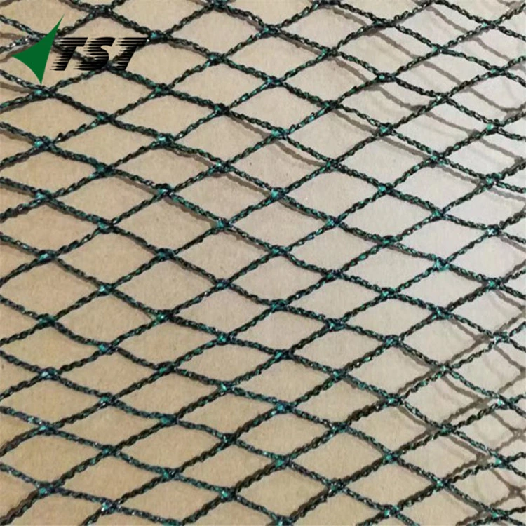 A cor preta 20GSM tratamento UV de plástico PP extrudado Bop Anti Bird Net/ Aves de capoeira de plástico de malha de compensação para o zoneamento de frango