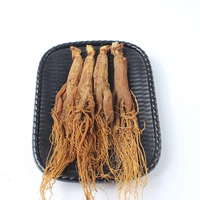 Китайские травы медицина здоровье дополнение 4 лет красного корня женьшеня