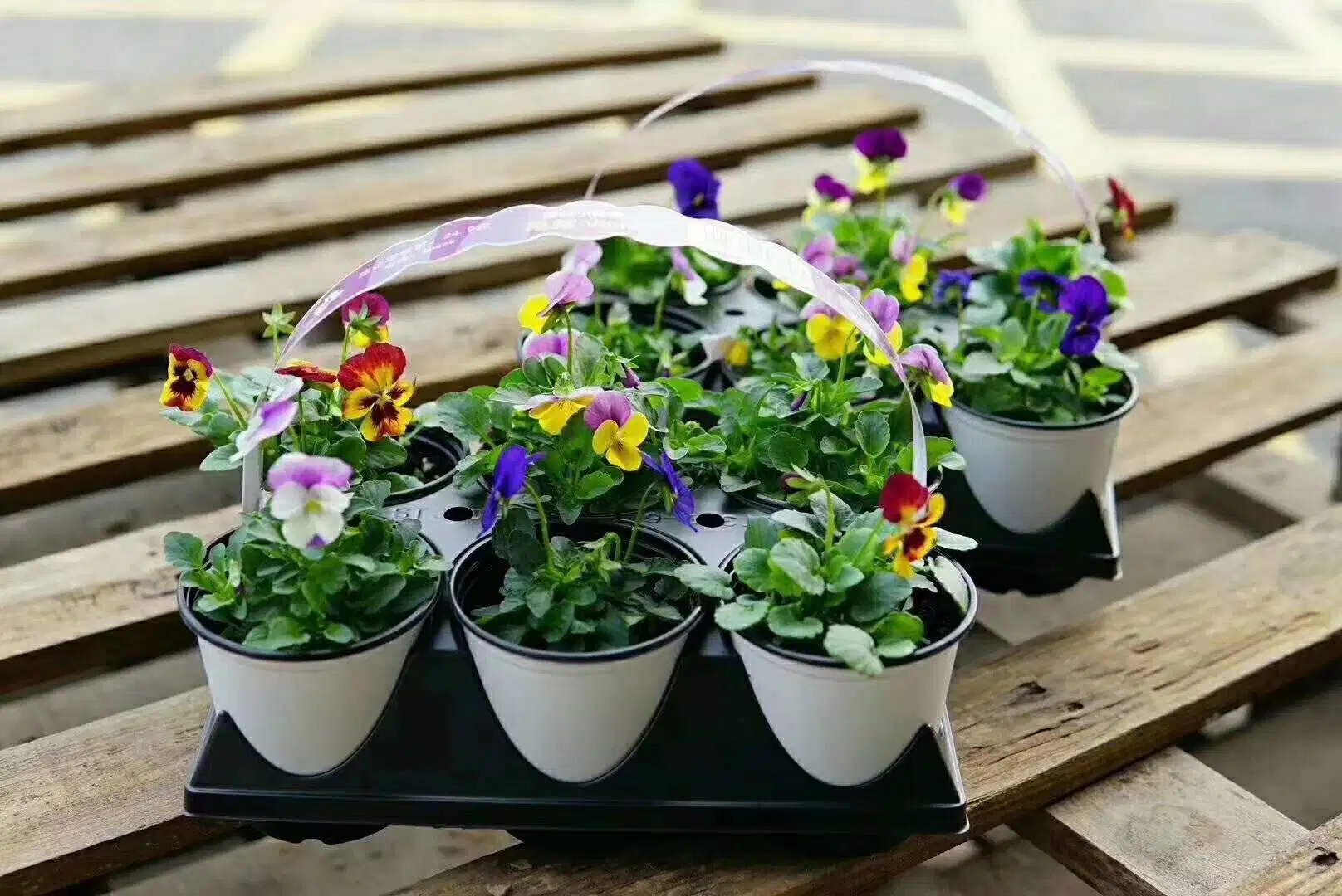 Thermoformage de pots de fleurs, pots de pépinière ronds, jardinières en plastique noir.