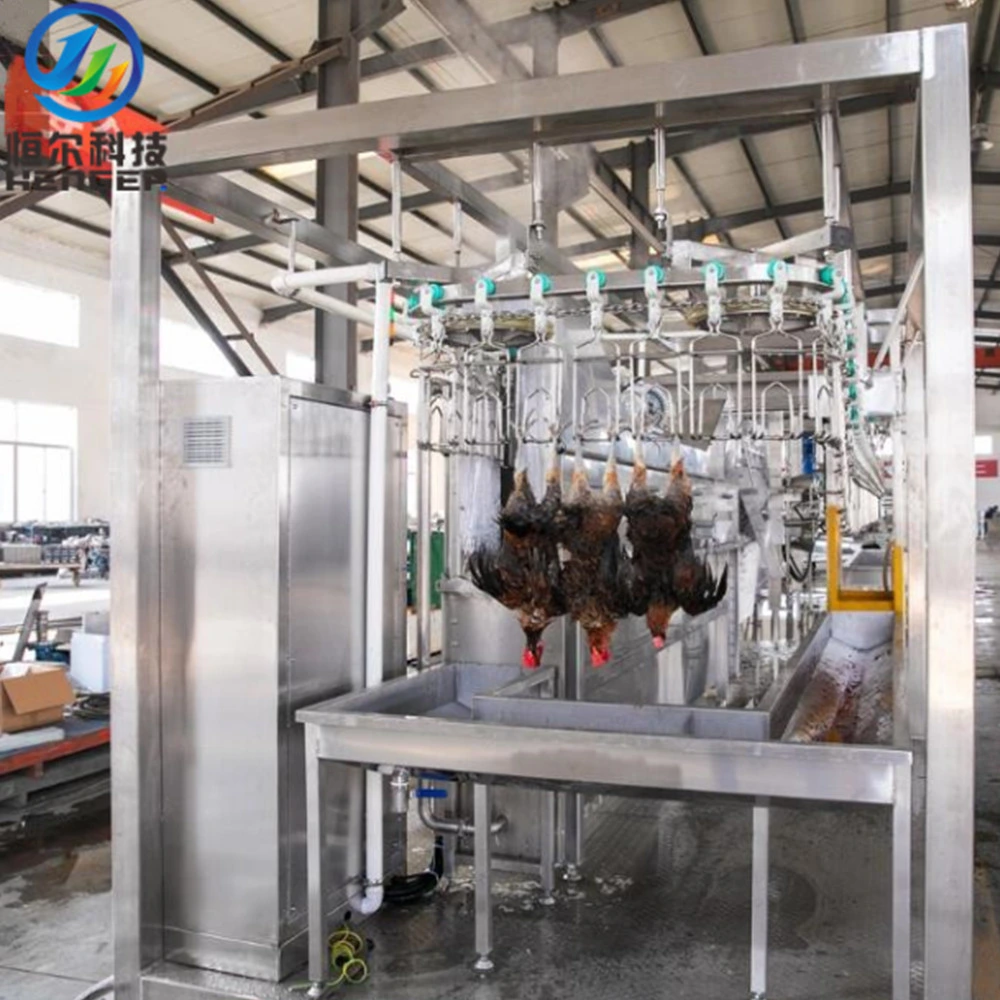 Small Chicken Plucker Machine Slaughtering Equipment