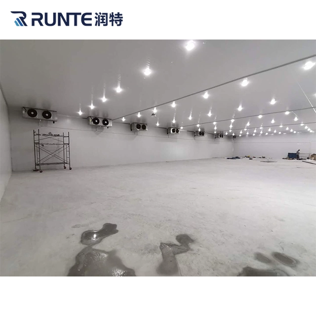 Runte Brand Industrial المتكاثفة الوحدة PU لوحة المشي في الثلاجة حجرة التجميد Air Blast Cold Room Storage for thuroat throat mat الأسماك المأكولات البحرية سابقة التجهيز