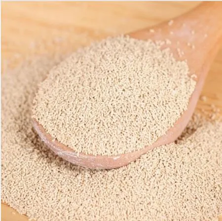 Food Additive Super 2 in 1 Instant Dry Yeast