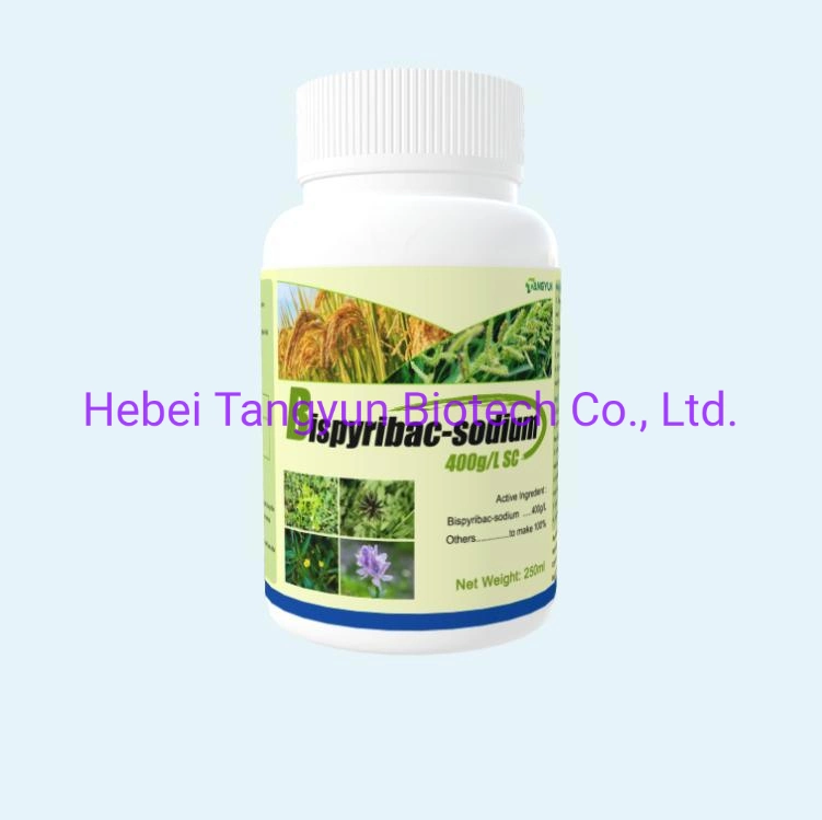 Selective Systemic Rice Herbicide Bispyribac-Sodium 40% Sc