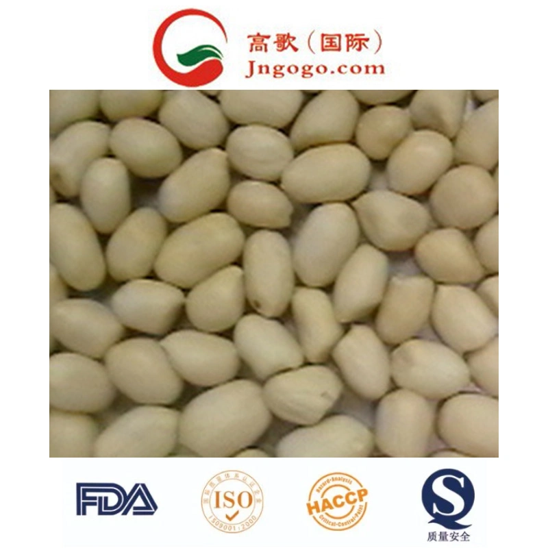 New Crop Top Quality Peanut with Skin Peanut in Shell