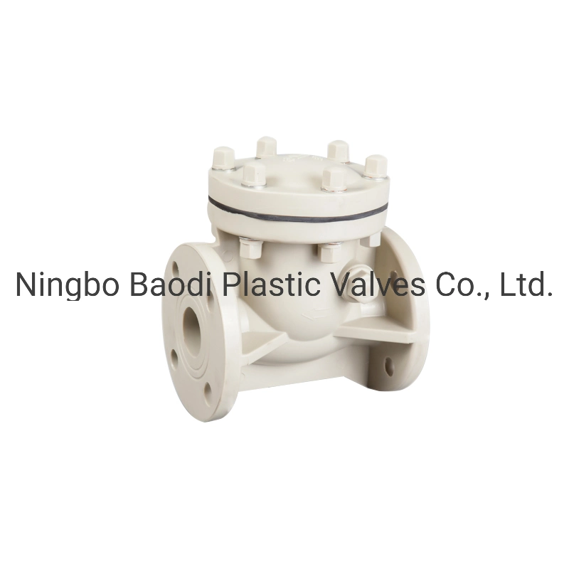 PVDF Check Valve, Swing Type