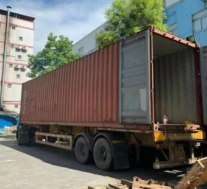 Freight Forwarder Sea Shipping Agent Door to Door China to Czech