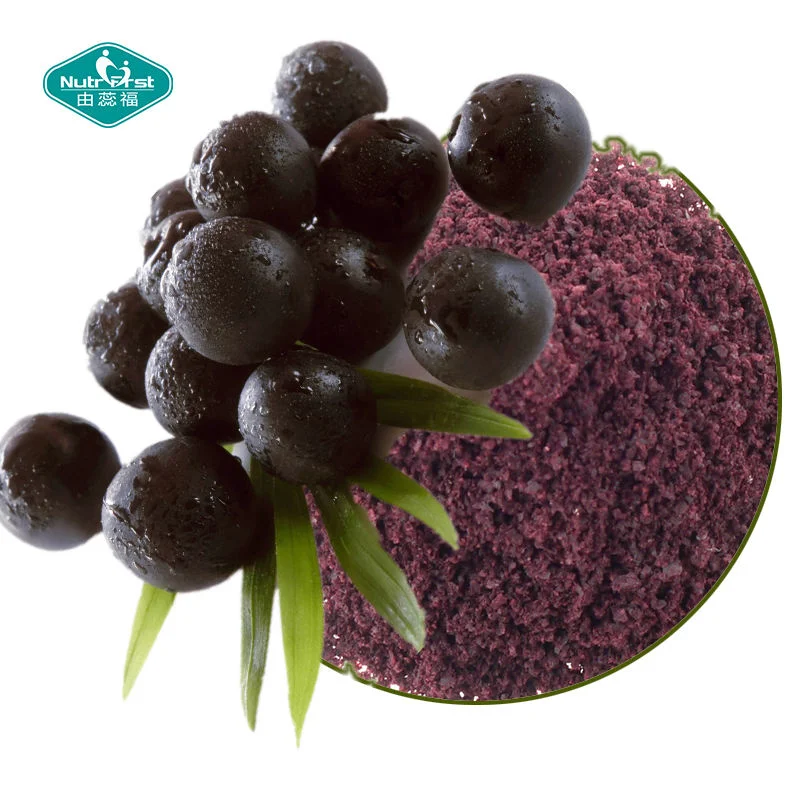 Fornecimento de fábrica Nutrifirst 100% Natural orgânico Freeze seco Acai Berry Pó de fruta