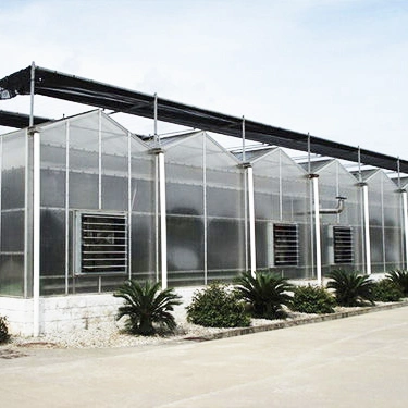 2023 Factory Supply Agricultural Polycarbonate Greenhouse with Nursery System