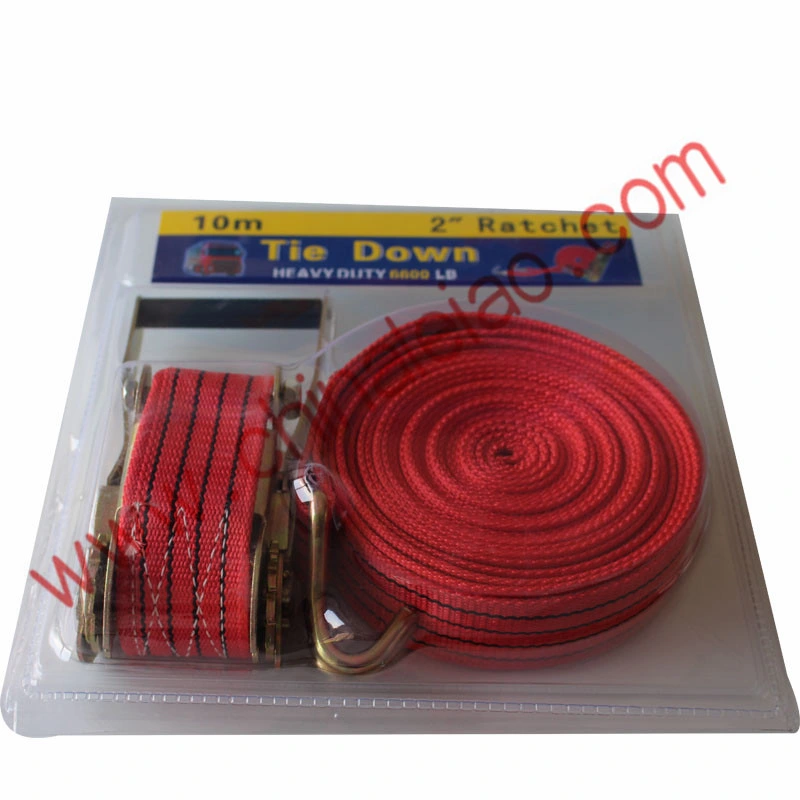 Leo ISO 9001 Approved 10PCS One Carton Cargo Strap Tie Down