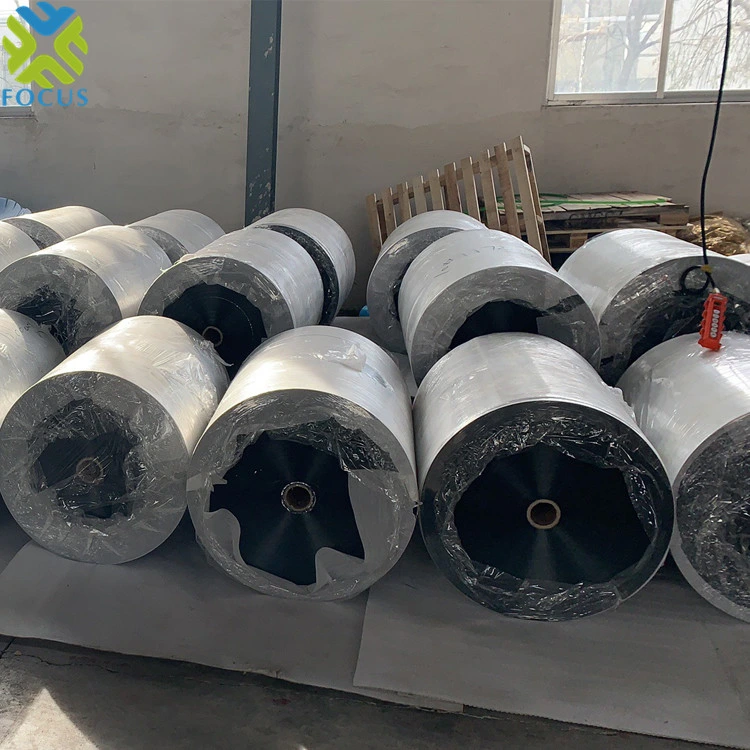 OEM Plastic Pet Film Plastic Packaging Film Metallized Polyester Film