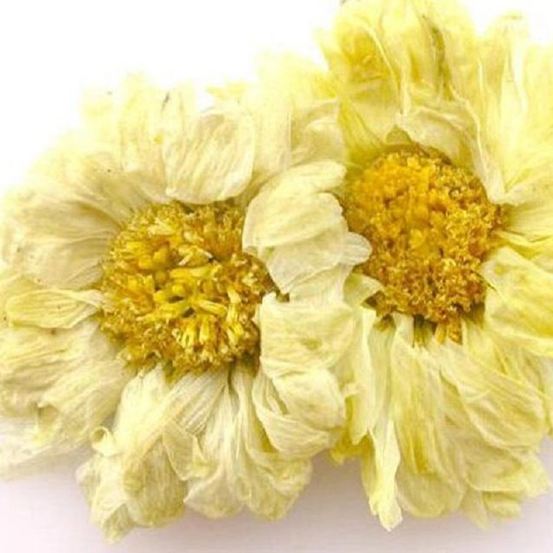 Chinese Herbal Flower Tea Yellow Chrysanthemum Tea Slim Body Hot Sale