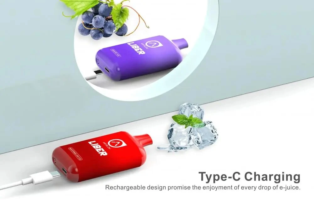 Wholesale/Supplier Best Vape 5% or Nicotine Free Shipping OEM Factory Puffs Bar Pod Disposable/Chargeable Vape Liquid Disposable/Chargeable vape with Type-C Recharge