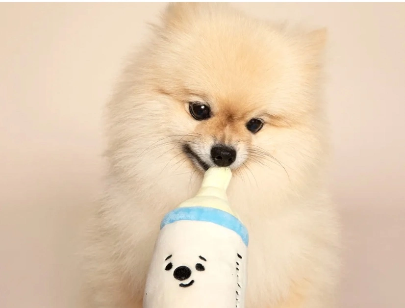 Cotton Stuffed Plush Toys Pets Teething Toys Milk Bottle for Puppy