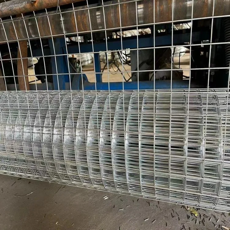 for Bird Cage Welded Wire Mesh Roll Hot Dipped Galvanized Welded Wire Mesh