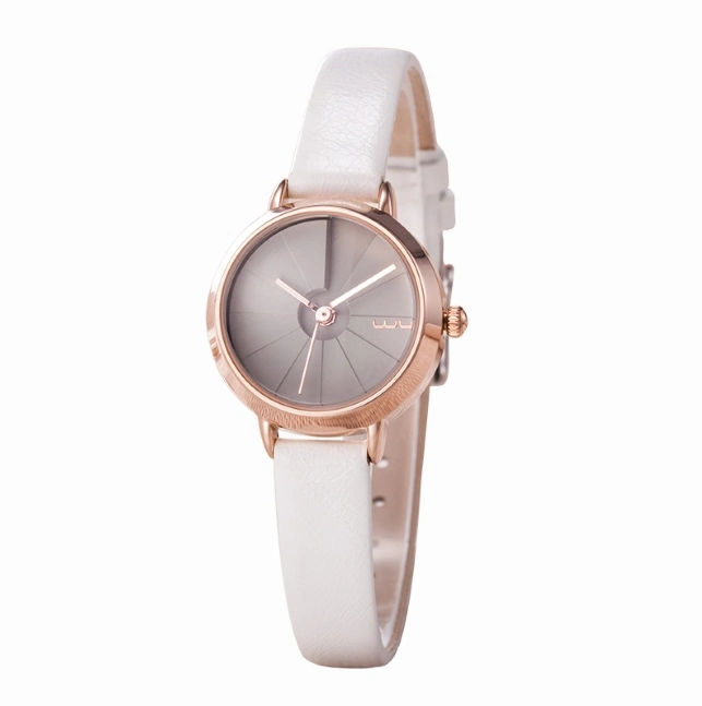 Factory Wholesale/Supplier Gift Fancy Japan Movt Sr626sw Quartz Watches (WY-133)