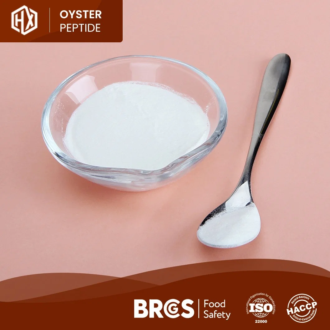 Haoxiang Oyster Peptide Rohkost und Getränke Großhandel Lebensmittel Grade 100% Hydrolyzed China Oyster Protein Peptid Powder für die Aufrechterhaltung der Feuchtigkeit Und Anti-Aging