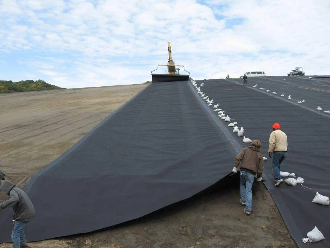 ASTM Standard ISO Certification GM 13 Polyethylene Sheet HDPE Geomembrane 0.5mm 0.75mm 1.0mm 1.5mm 2.0mm Shrimp Fish Pond Lining Liner Tunnel Landfill