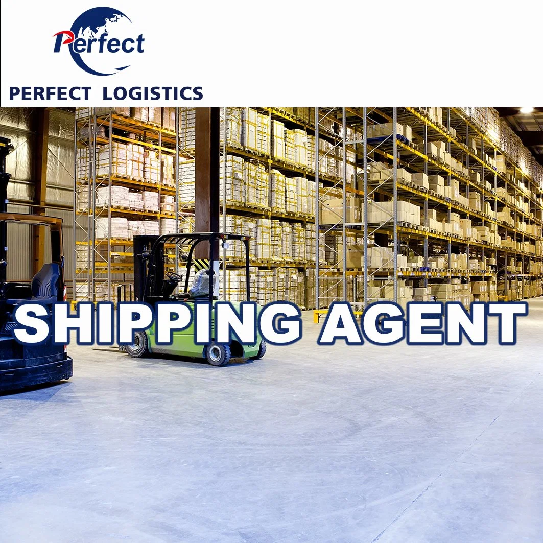 Ocean Shipping Fowarding Agent From China to Lithuania/Bulgaria