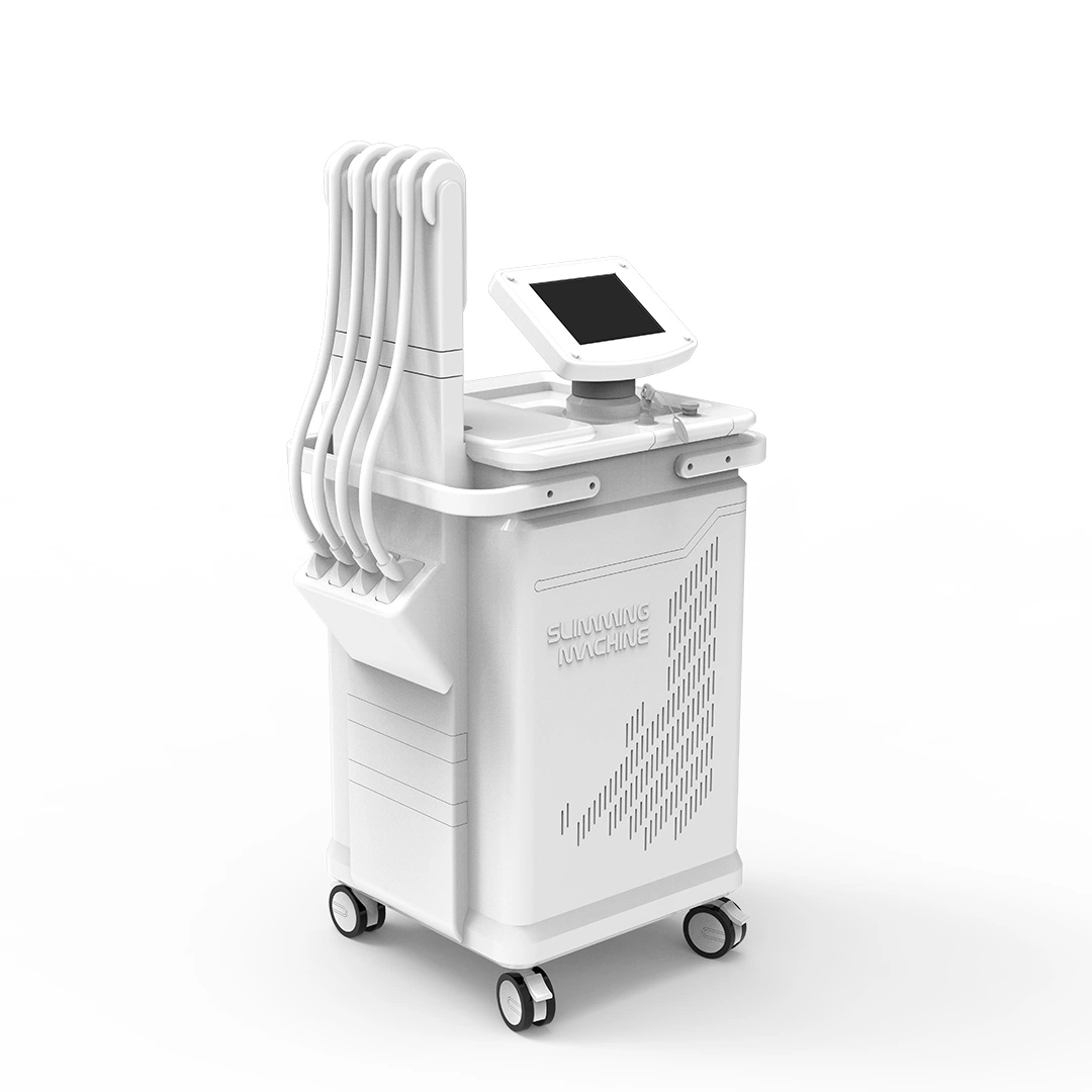 Professionelle Körper Abnehmen 1060nm Diode Laser Gewichtsverlust Beauty-Ausrüstung