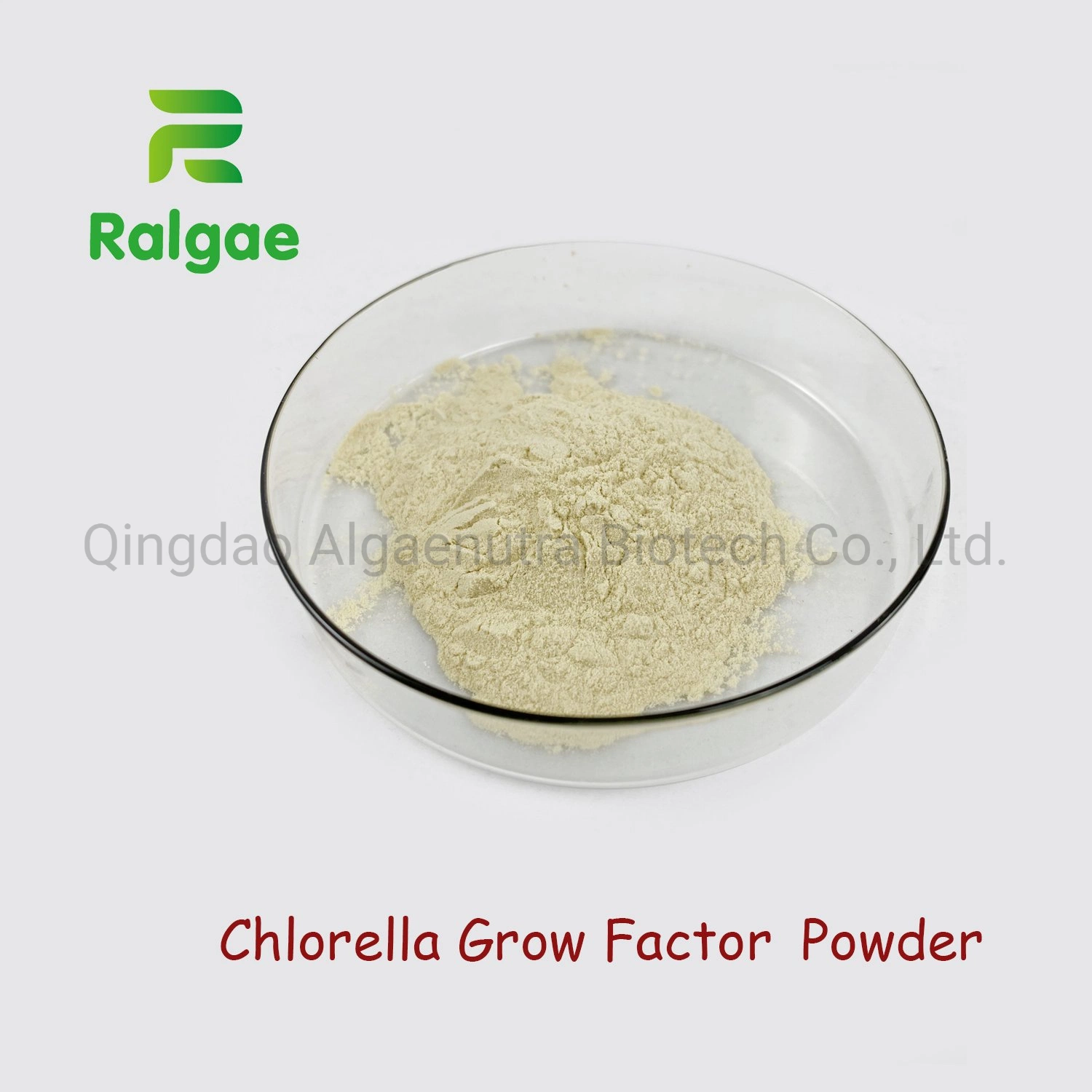 Chlorella Cgf извлечения Chlorella расти фактор продукты класса как пищевые Piement