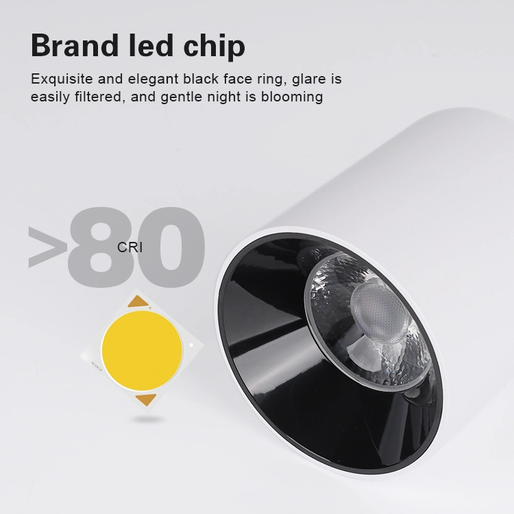 Black White LED Interior Lighting Round COB Surface Mounted LED Down Light