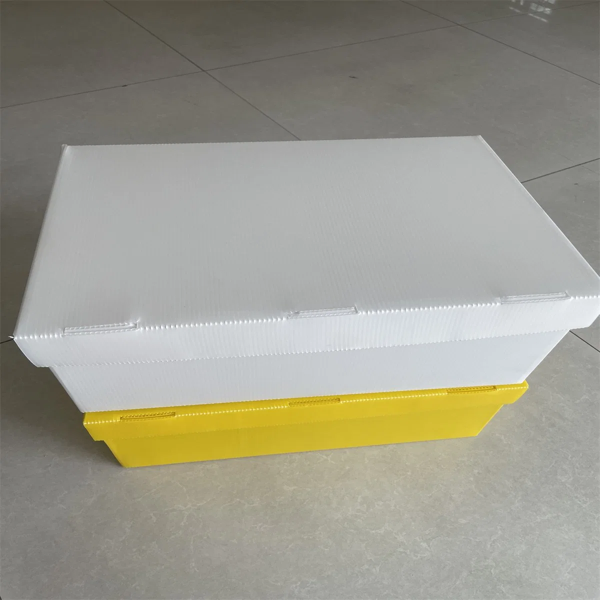 Durable Collapsible Polypropylene Corrugated Plastic Box with Reusability & Recyclability