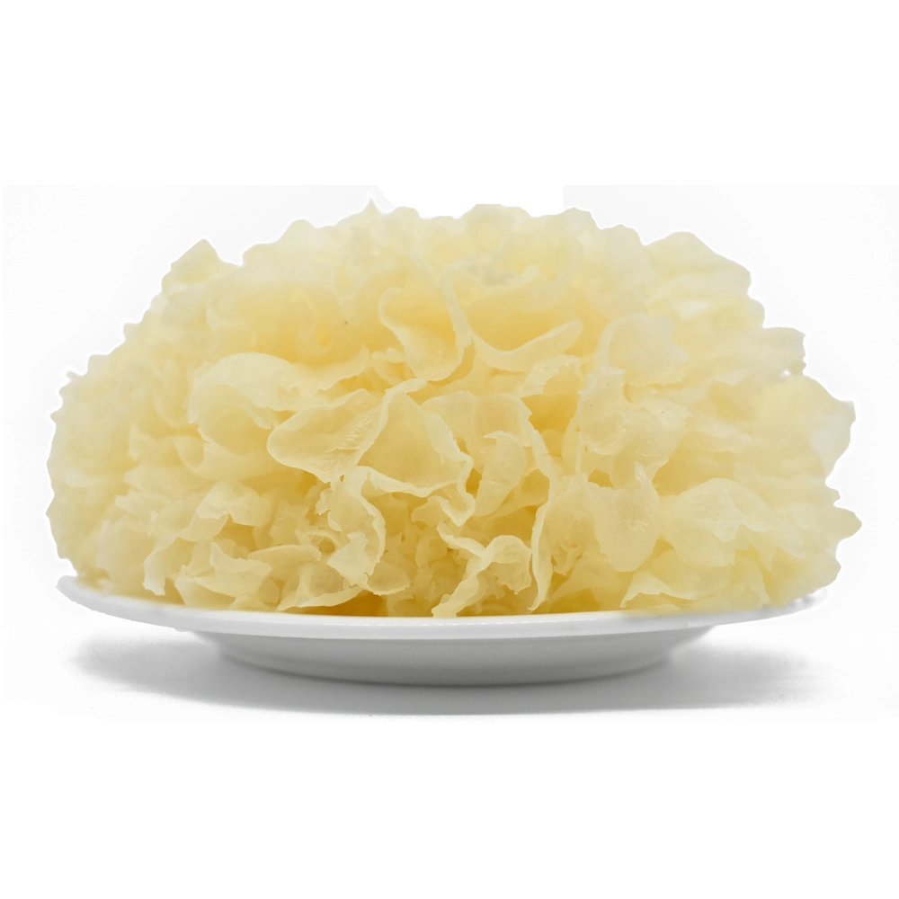 Tremella fuciformis chino hongo Hongo blanco seco