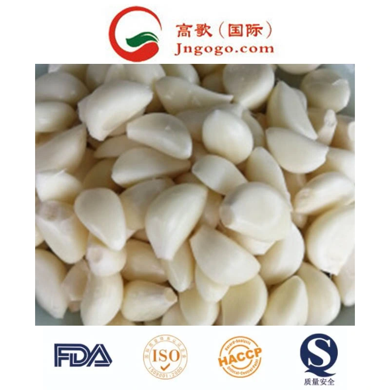 Hot Selling for Garlic Cloves in Brine From China