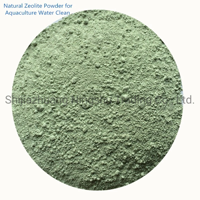 Clinoptilolite Natural Zeolite for Filter Water Filtration