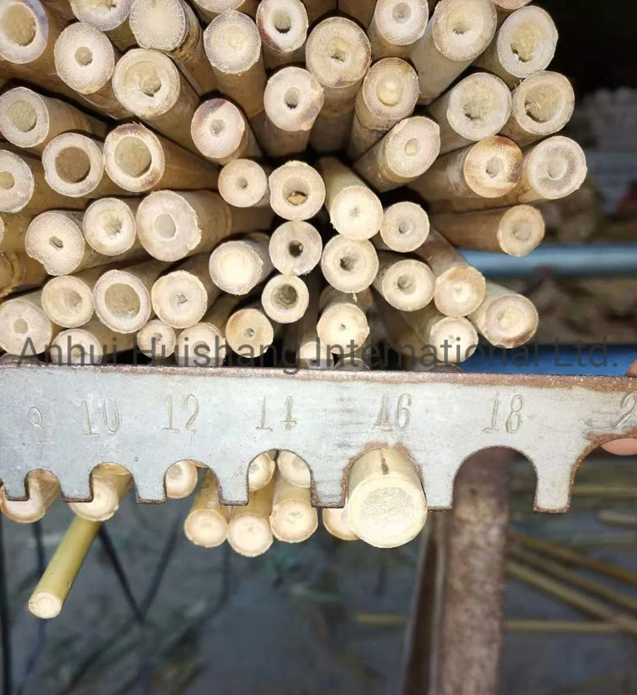 Farm Use Bamboo Stakes Bamboo Canes