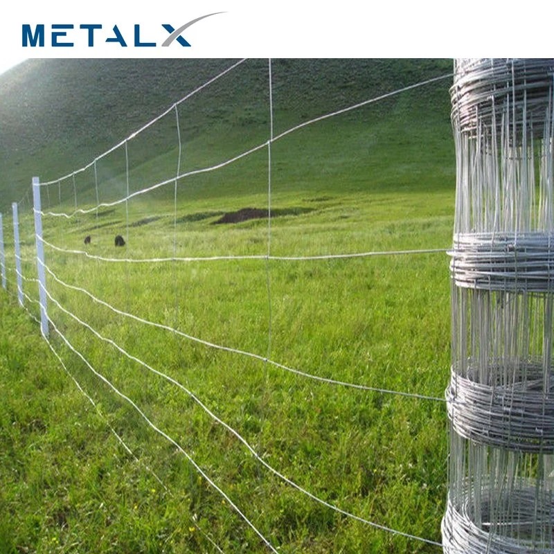 Wholesale/Supplier Hot Sale Cheap Galvanized Sheep Livestock Wire Mesh Rolls Security Farm/Horse Cattle Field Fence for Fixed Knot/Deer/Game