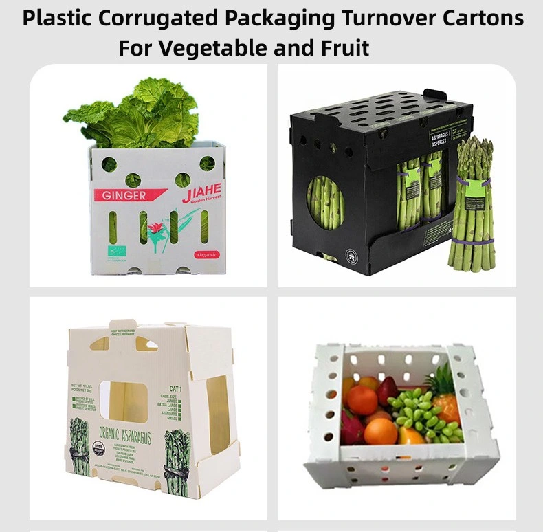 Plastic Corrugated Packaging Turnover Cartons for Vegetables and Fruits