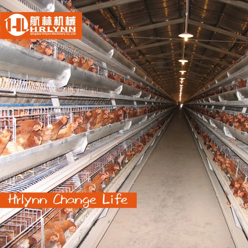 Poultry Farm Automatic Galvanized 3 4 Tiers a Type Battery Egg Layer Chicken Cage