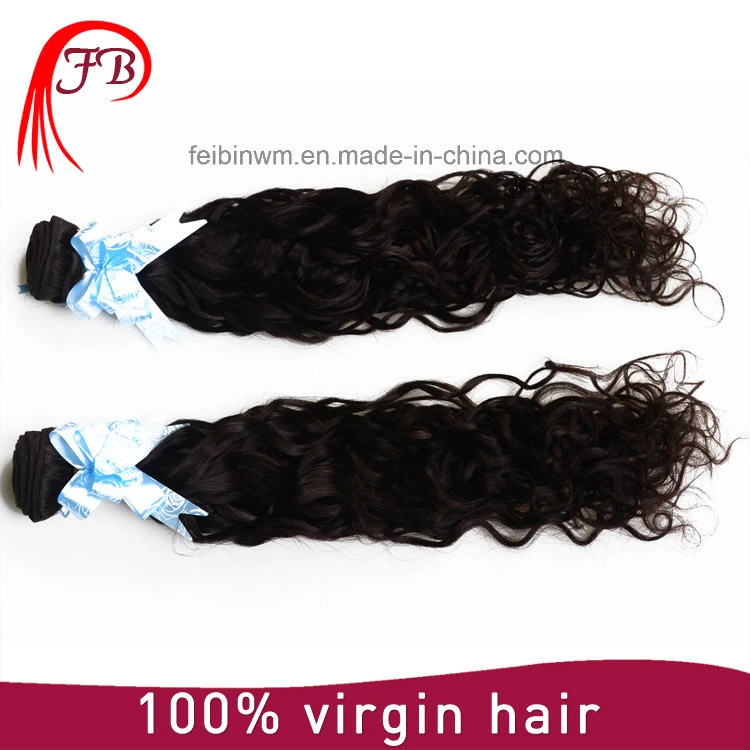 100% Virgn Remy Brazilian Natural Wave Human Hair Weft