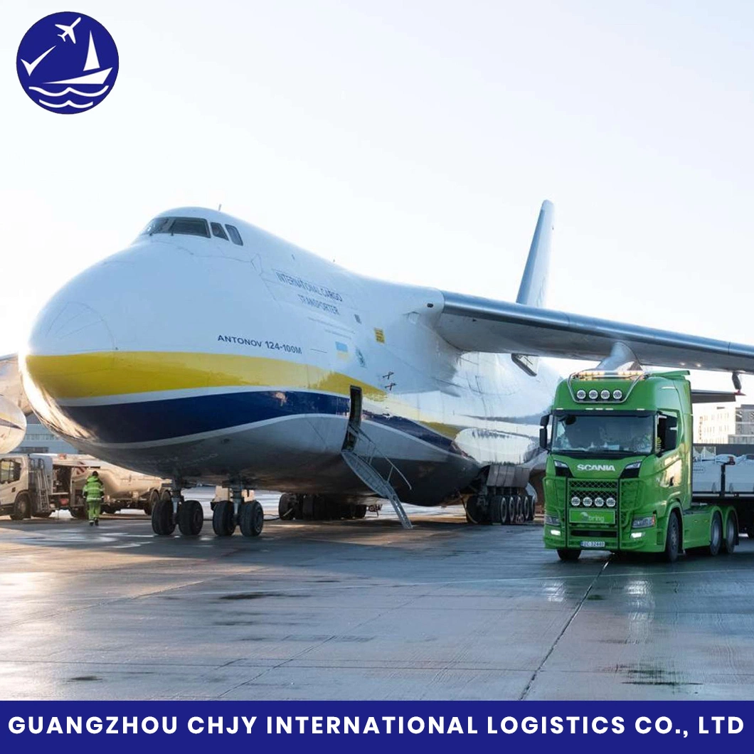 El aire Sea Shipping Forwarder Agente desde China a EE.UU. Canadá DDP DDU servicio Amazon Mayorista/Proveedor Alibaba
