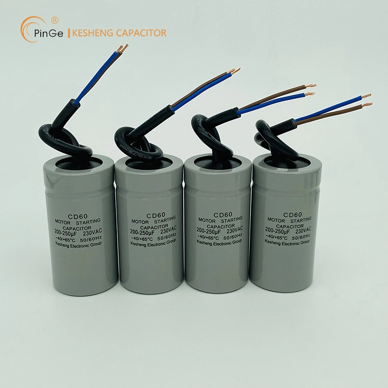 CD60 Motor Starting Capacitors OEM ODM Manufacturer in China