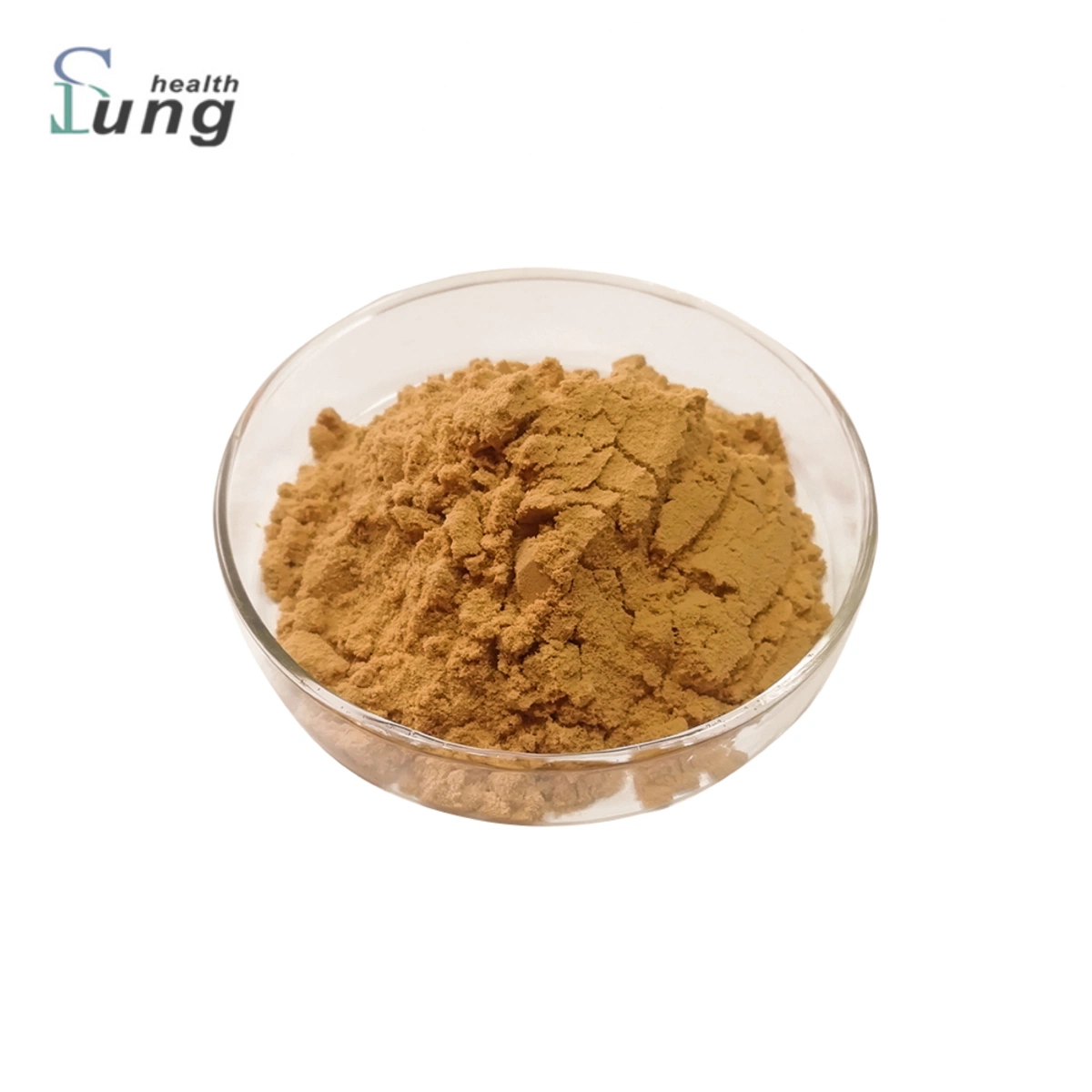 Plant Extract Garcinia Cambogia Extract Weight Loss Garcinia Cambogia Extract Powder Cambogia Powder Extract