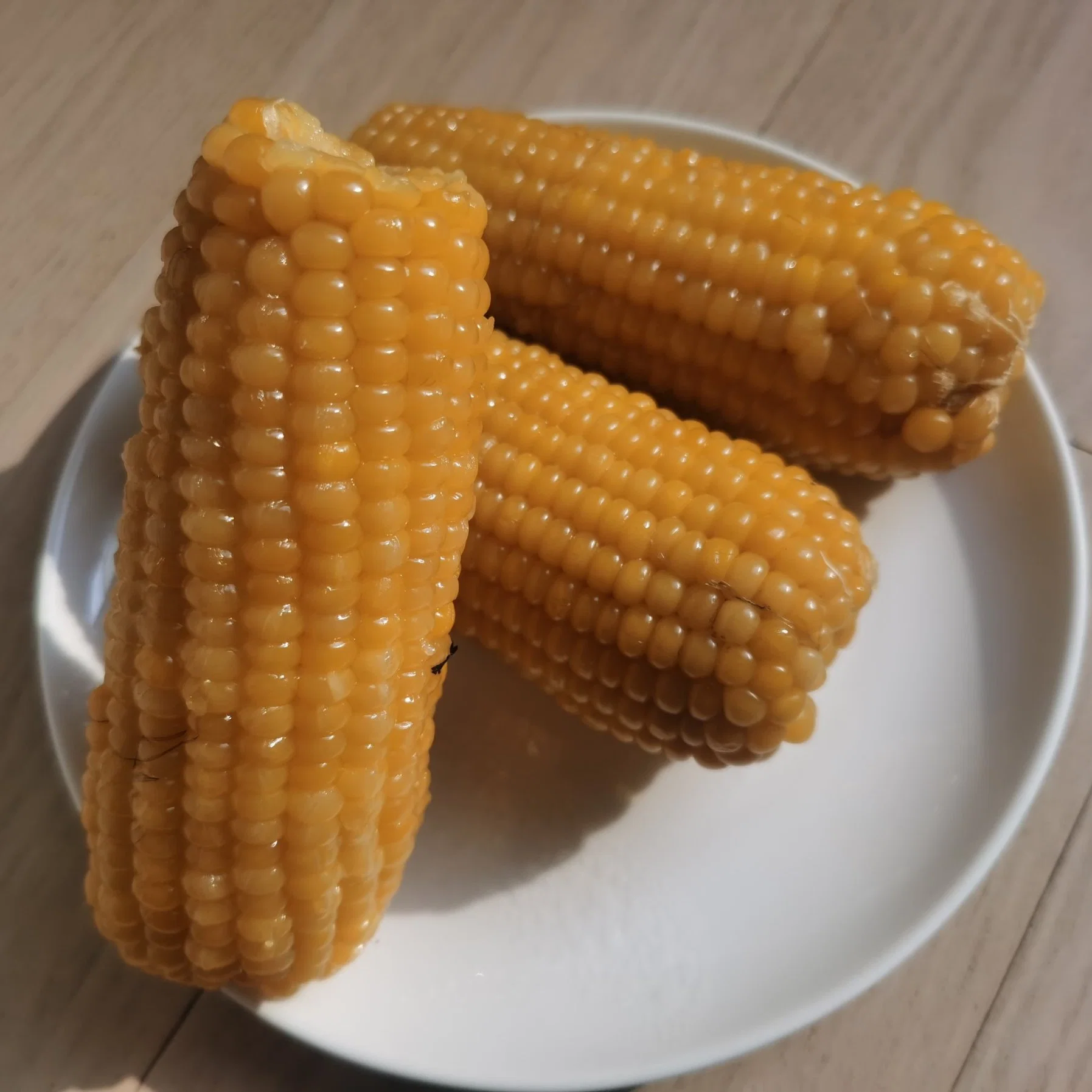 طهو الذرة المطبوخة من نوع Sweet Corn COB لوجبة فطور مغذّية نباتية