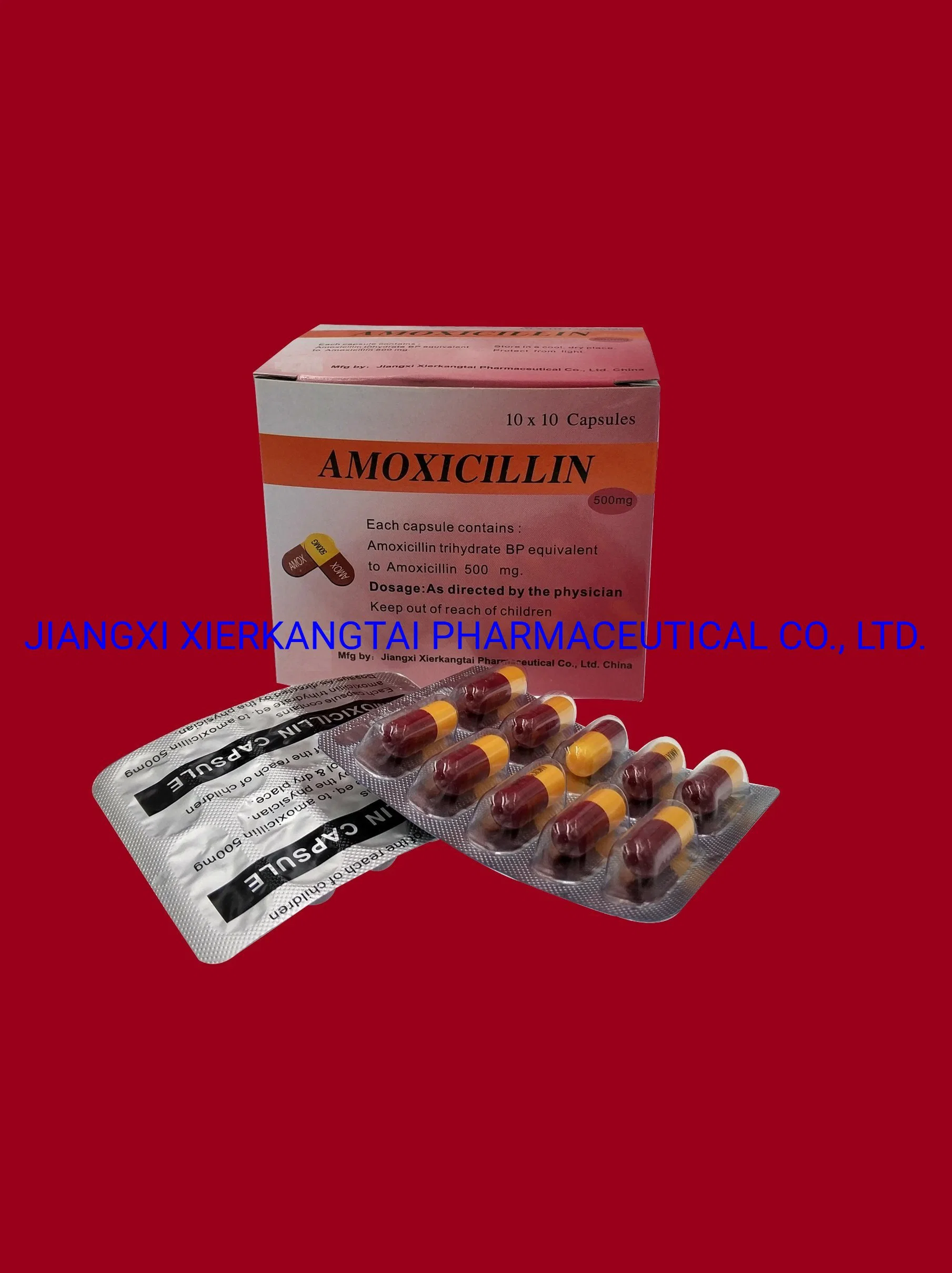 Amoxicillin Capsule 500mg 250mg GMP Certificated