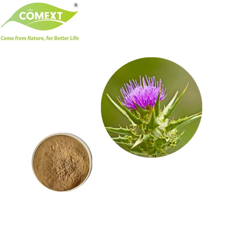 Comext Natural Herb Bulk Supply Milk Thistle 40% Silymarin Extract Powder for Healthcare Supplement