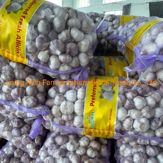 Factory Direct Supplier 4.5cm Chinese Normal White Fresh Garlic