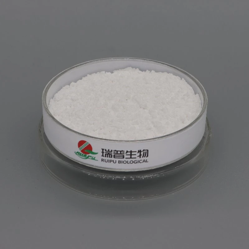 Food Additives Dicalcium Phosphate Calcium Hydrogen Phosphate with High Quality