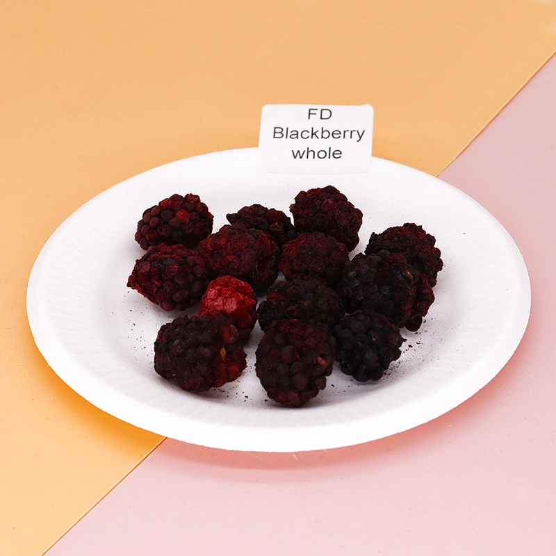 Ttn Wholesale/Supplier Market Dried Blackberry