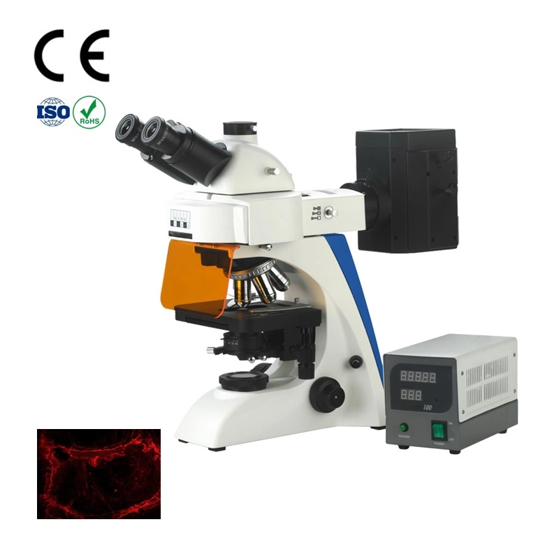 Laboratório de fluorescência de microscópio de tubos com Camerafor Digital Microescopos Baku