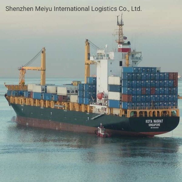 Fast Response LCL/FCL Lowest Shipping Rates Sea Freight to Mexico