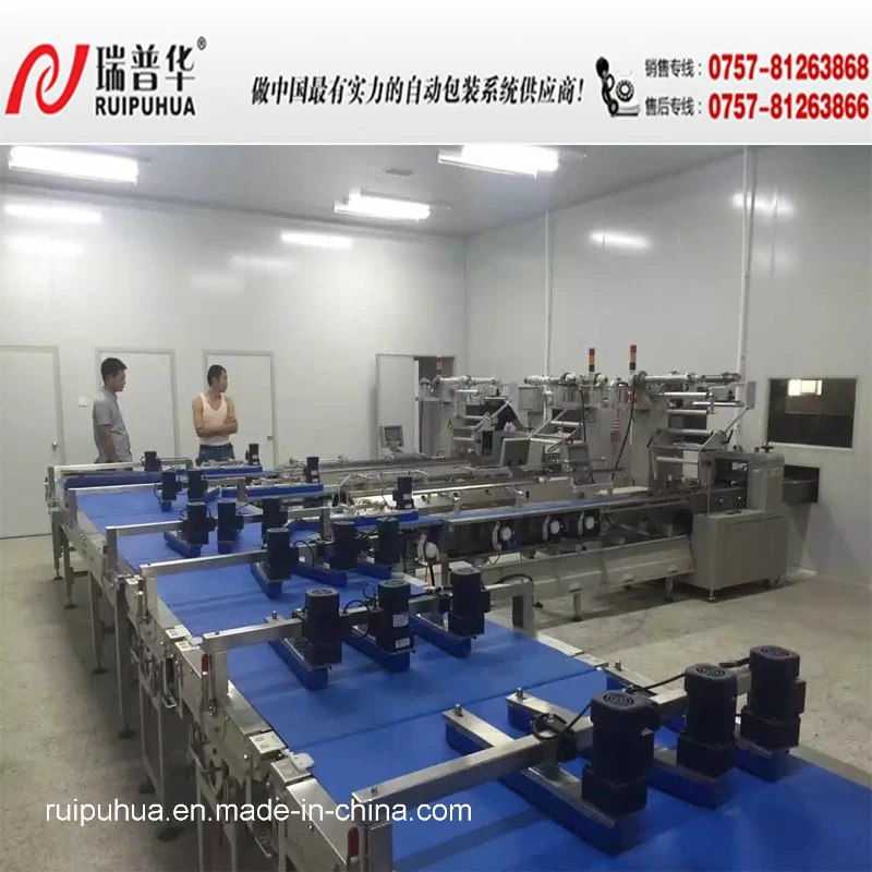 Dry Fruits/Sweetmeats Packaging Machine Zp-3000s Series