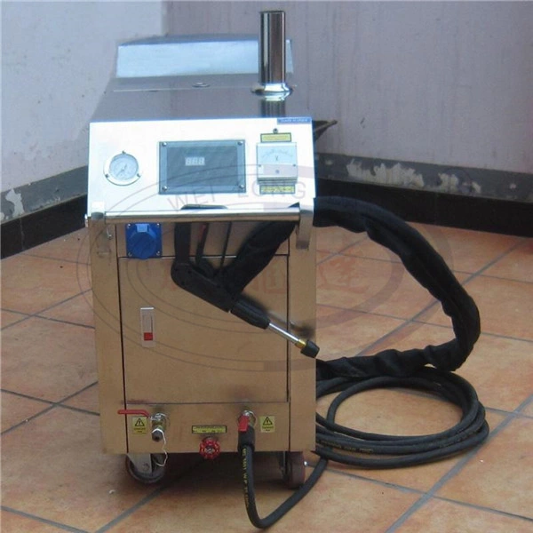 Wld1190 High quality/High cost performance  Portable Steam Car Washer for Sale