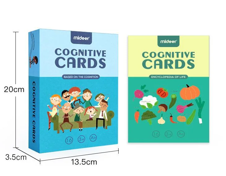 Children Play Game Learning and Studying Cards Box Set for Kids